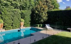 Bay Laurel (Sweet Bay) - Laurus Nobilis - 1 Gallon Pot 15 Bay Laurel (Sweet Bay) - Laurus Nobilis - 1 Gallon Pot -Wilson Bros Gardens Bay Laurel 7 1