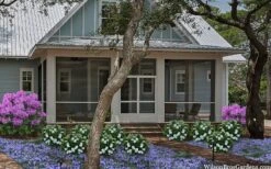 Snow Globe Gardenia - 1 Gallon Pot 13 Snow Globe Gardenia - 1 Gallon Pot -Wilson Bros Gardens gardenia jasminoides snow globe 2