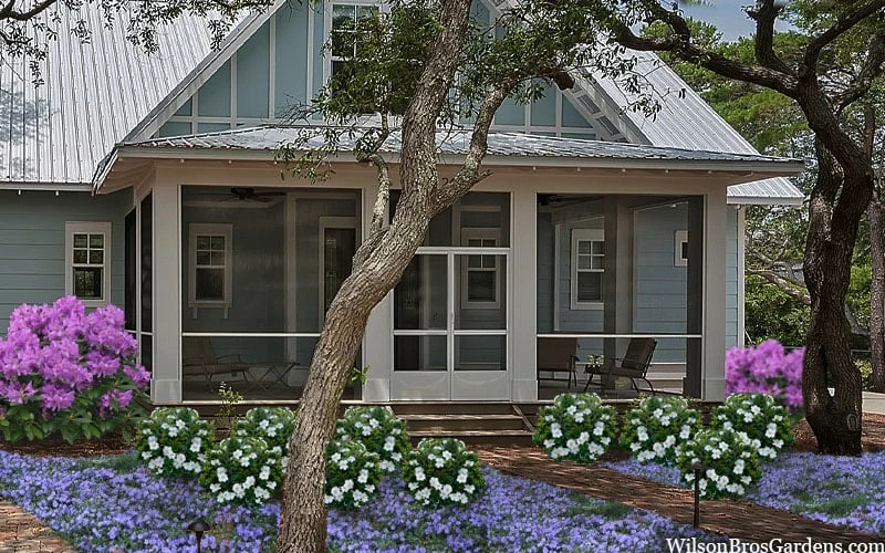 Snow Globe Gardenia - 1 Gallon Pot 8 Snow Globe Gardenia - 1 Gallon Pot - Image 6